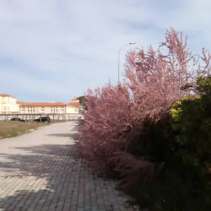 Casa Nel Parco Sulla Pisa